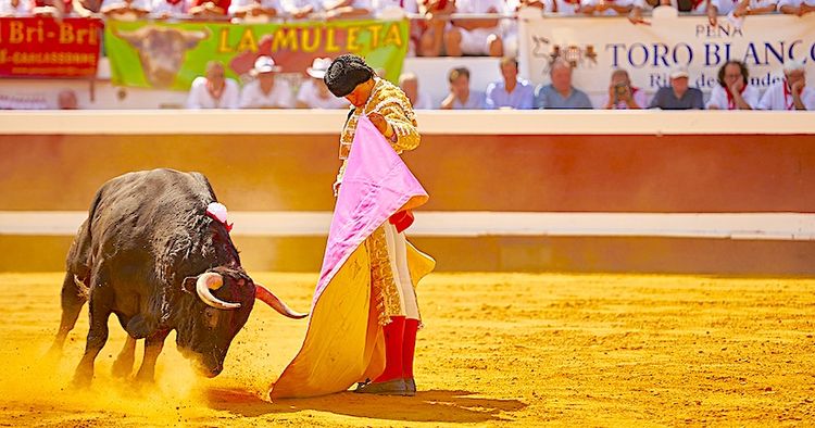 OLÉ ! - Temporada de Dax, des toros, des stars et des jeunes talents